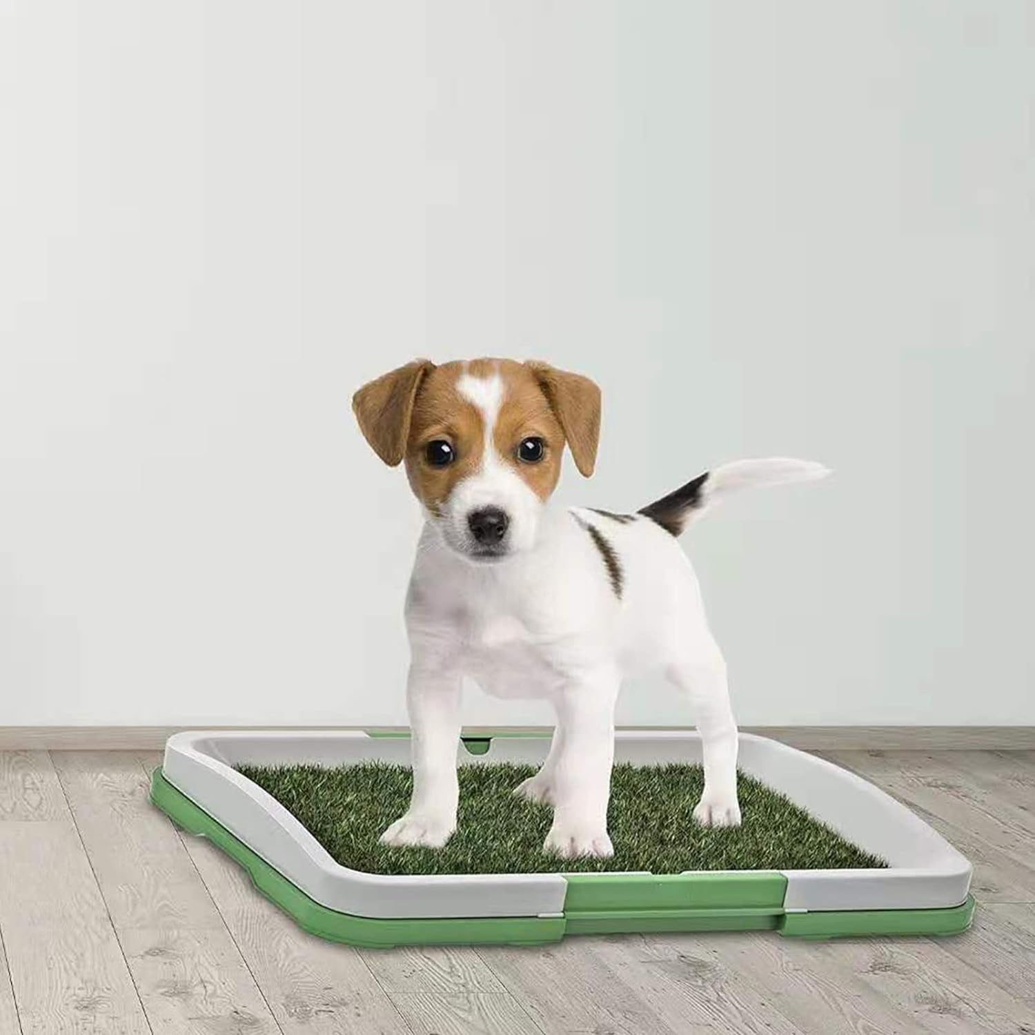 Baño Portátil para Mascotas (Entrenamiento)