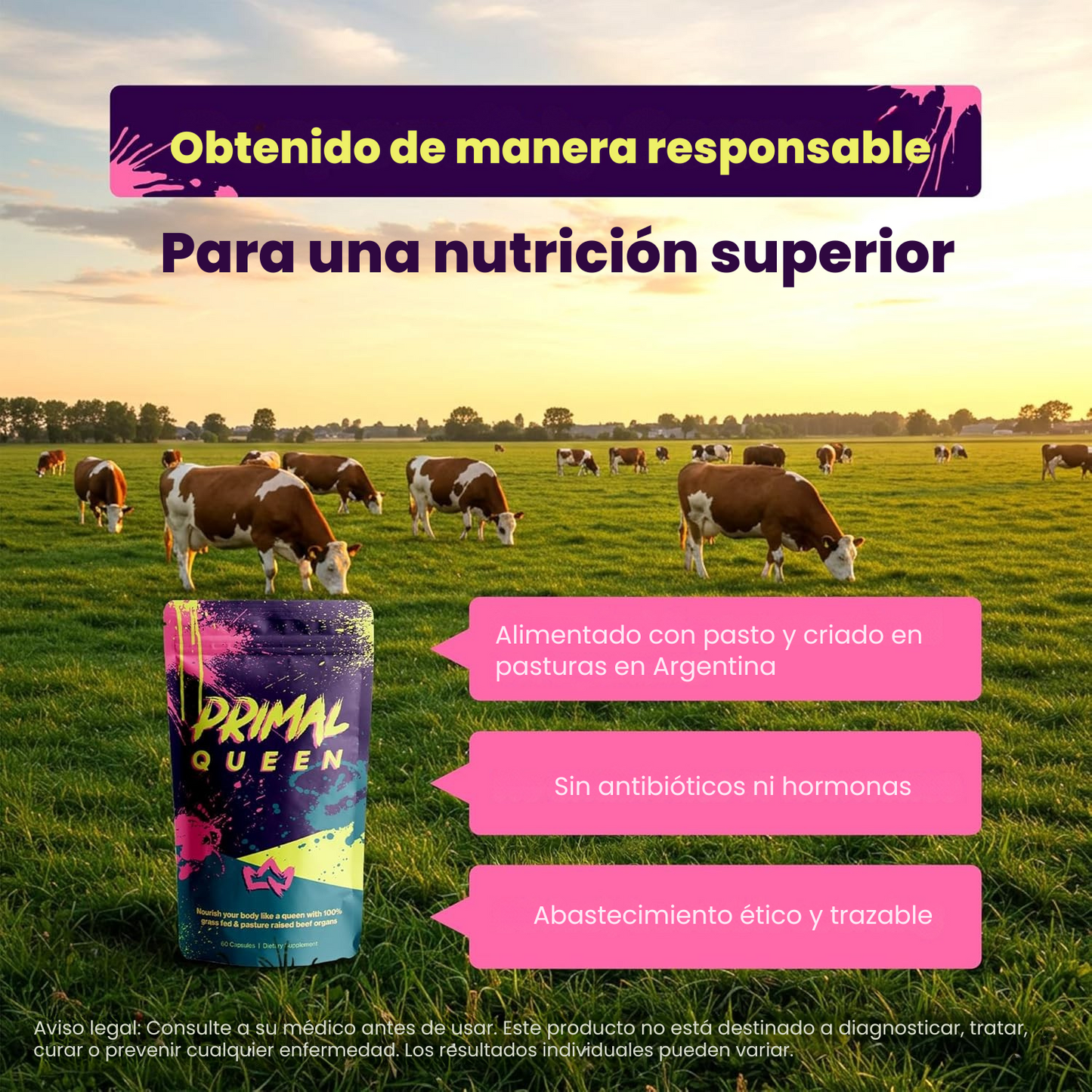 Primal Queen – Fuerza y Equilibrio Femenino desde la Naturaleza