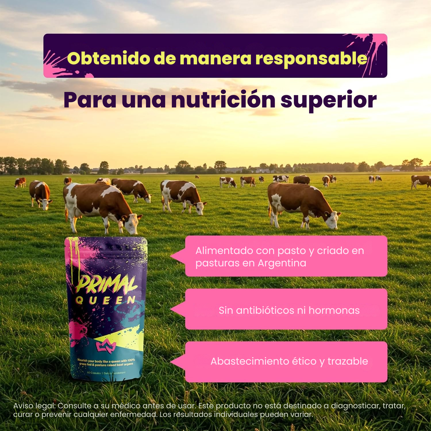Primal Queen – Fuerza y Equilibrio Femenino desde la Naturaleza